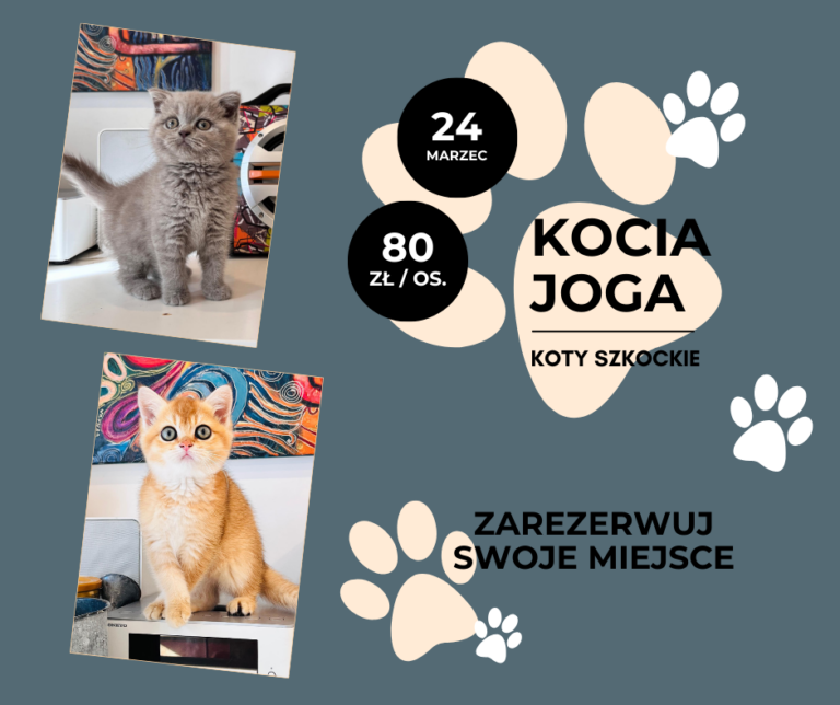 Kopia – Kocia Joga wydarzenie (2)