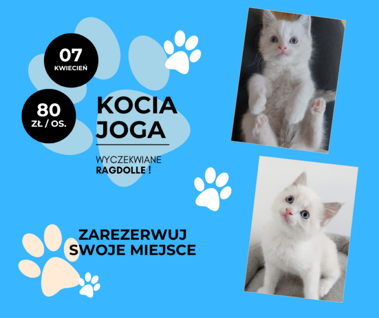 Kopia – Kocia Joga wydarzenie (3)